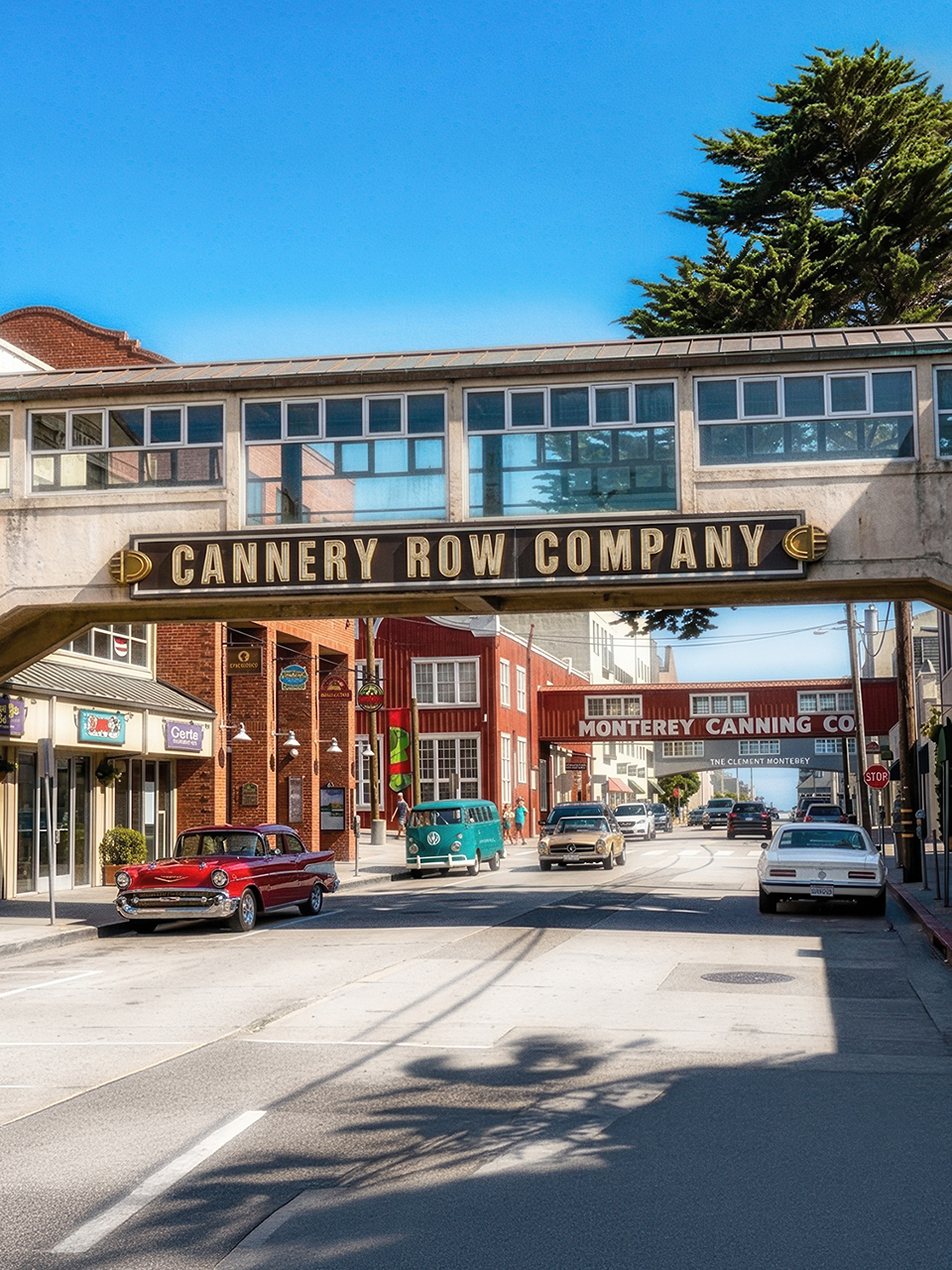 Monterey, California Web Design