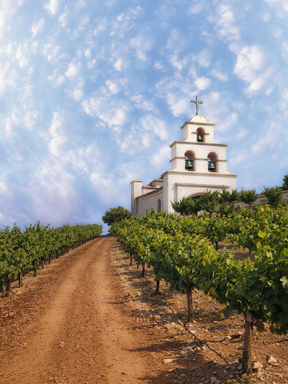 Paso Robles, California Web Design