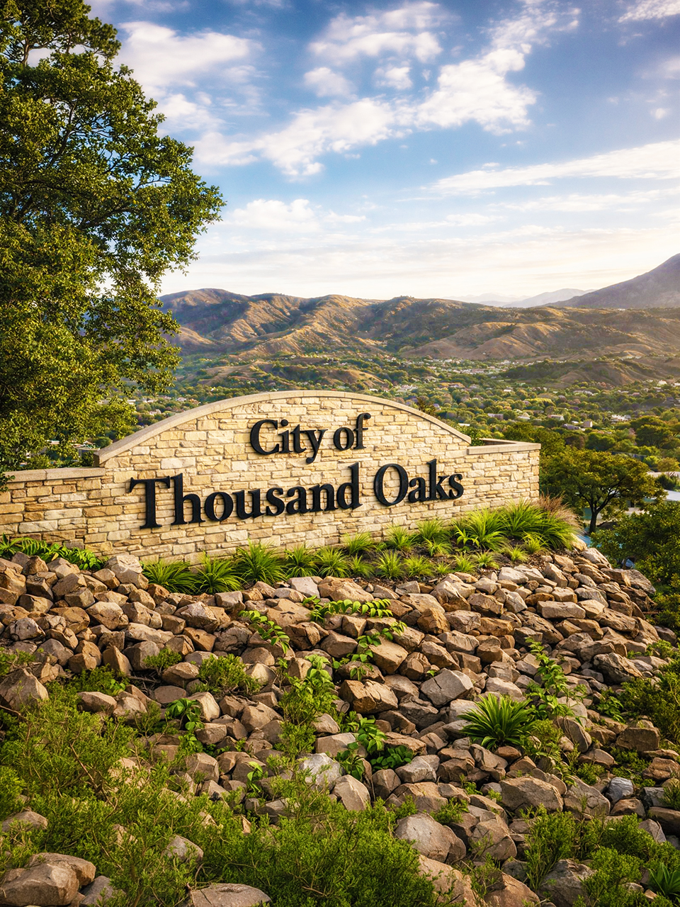 Thousand Oaks, California Web Design
