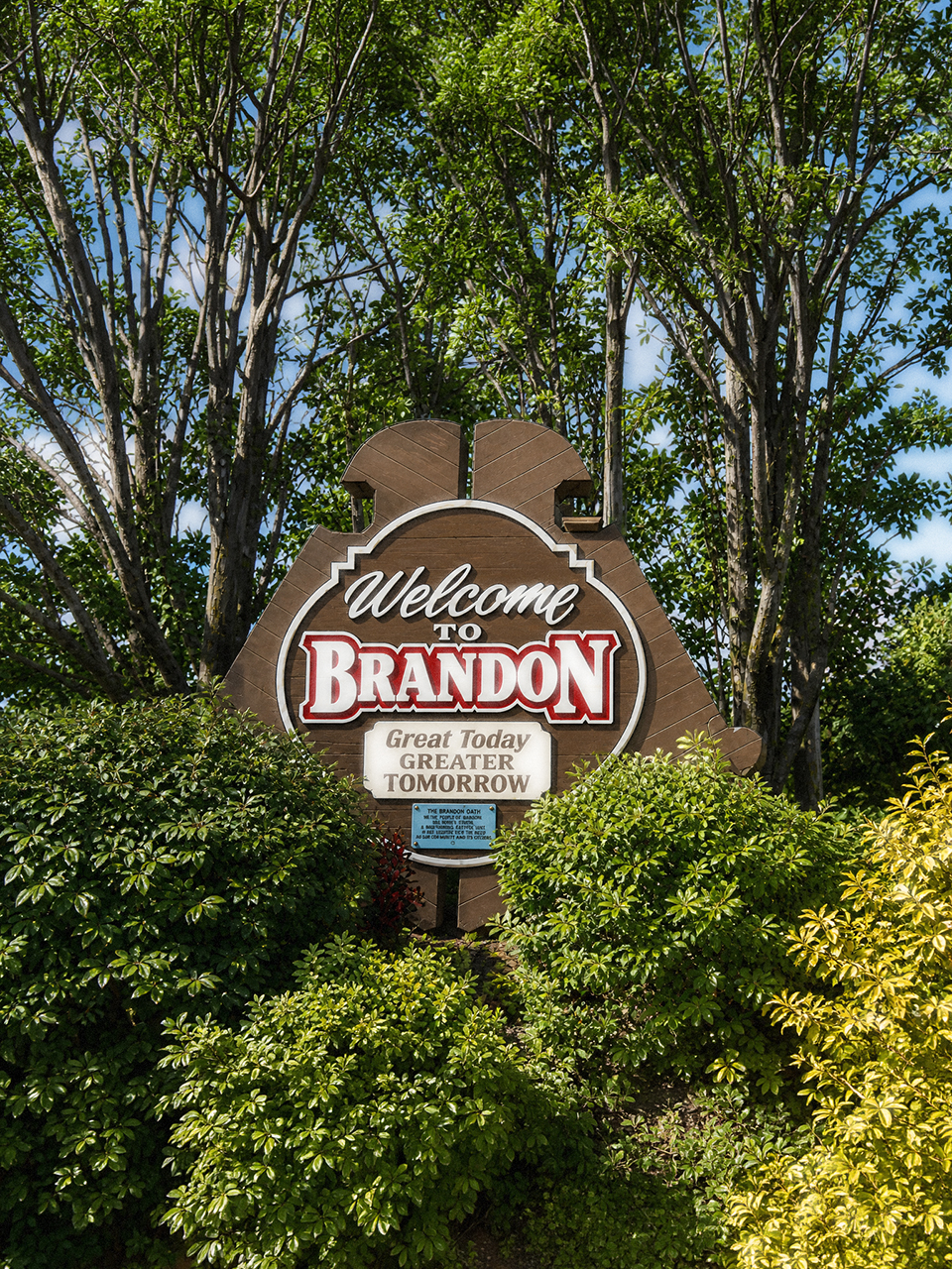 Brandon, Florida Web Design