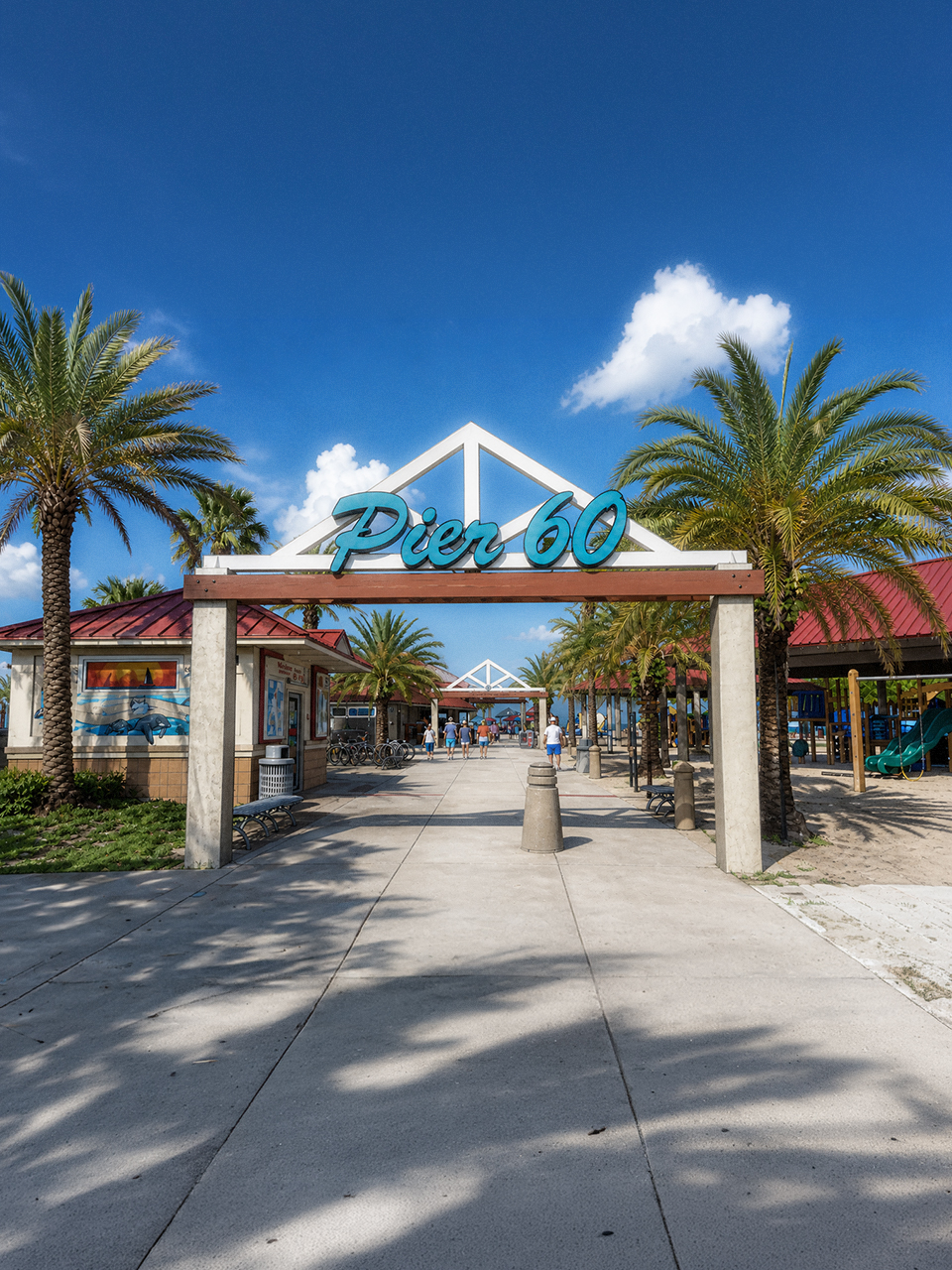 Clearwater, Florida Web Design