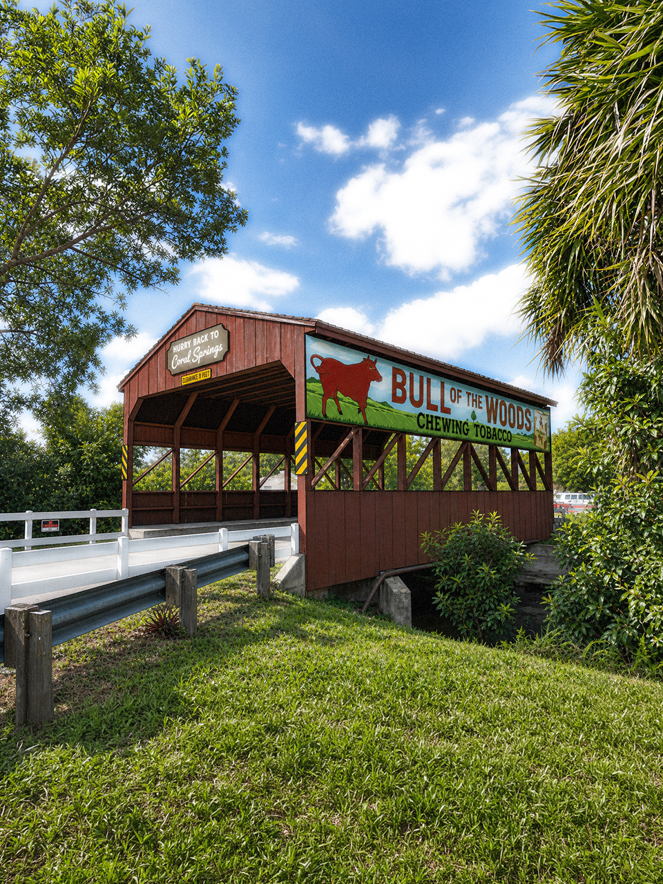 Coral Springs, Florida Web Design