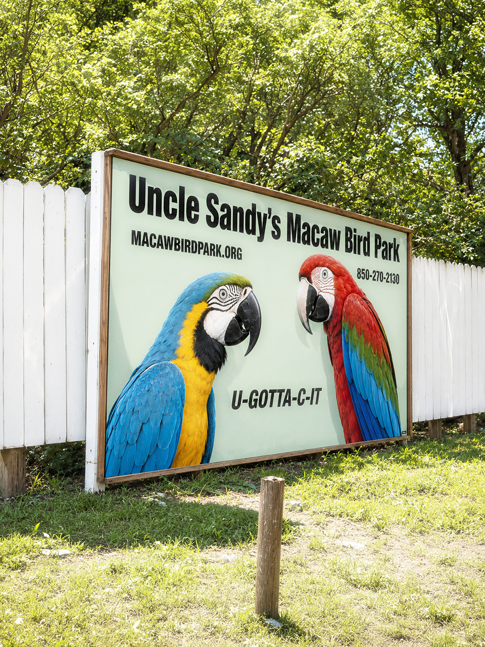 Ensley, Florida Web Design