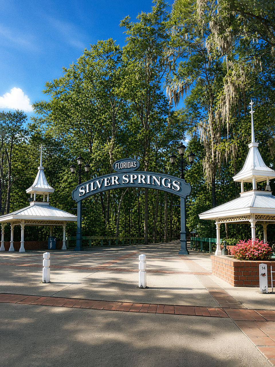 Ocala, Florida Web Design