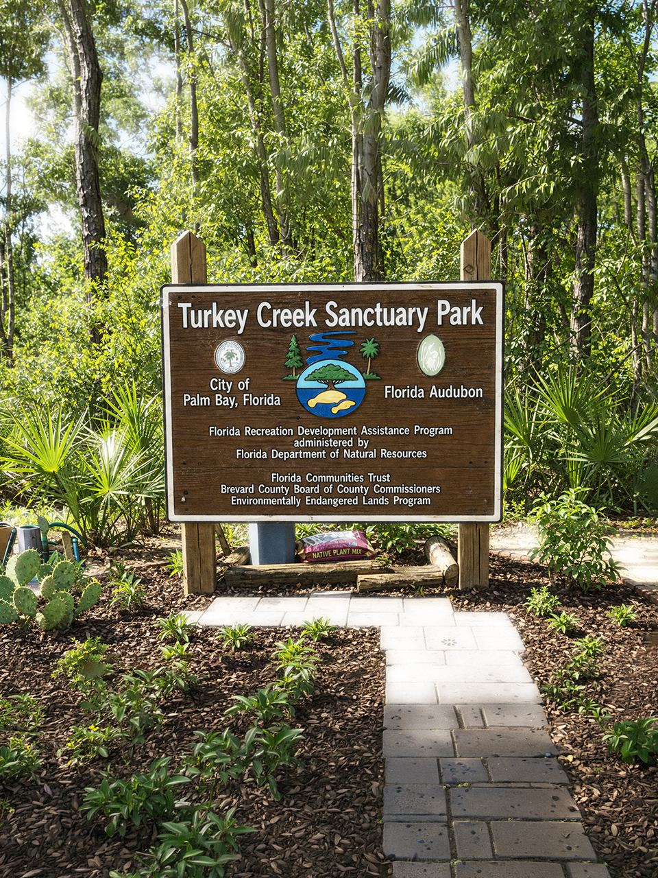 Palm Bay, Florida Web Design