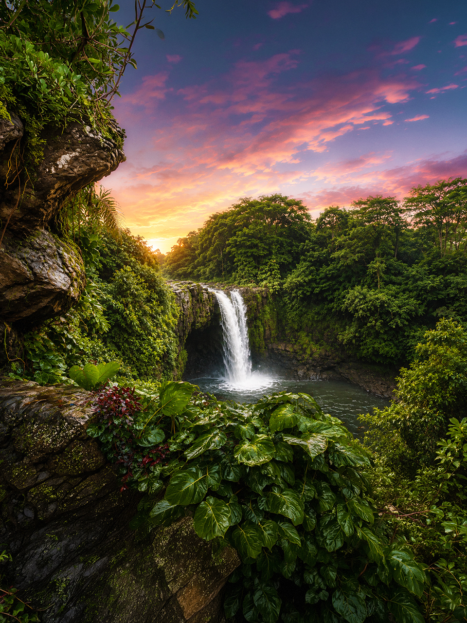 Hilo, Hawaii Web Design