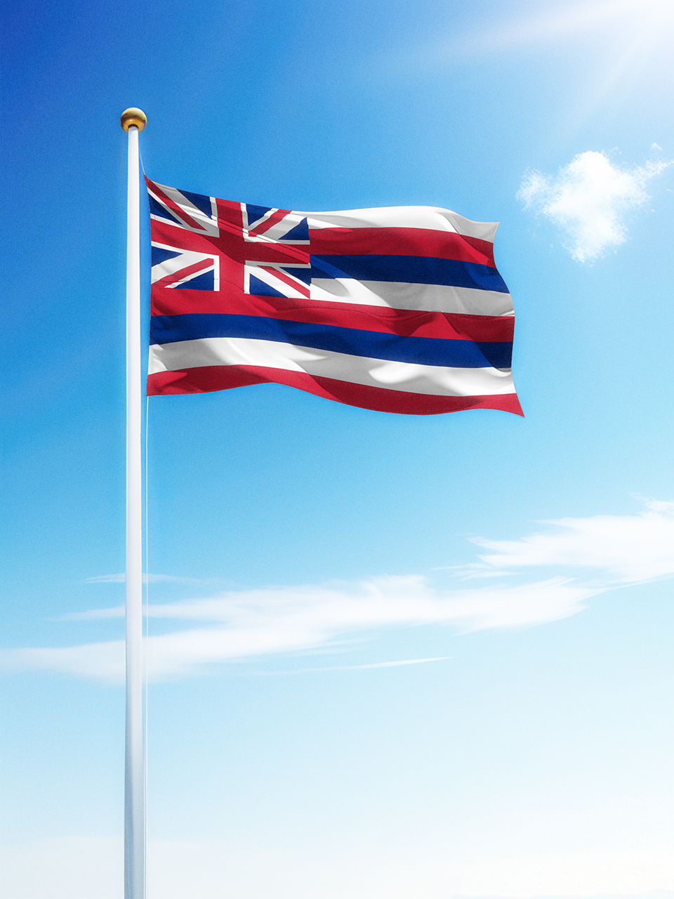 Napili-Honokowai, Hawaii Web Design