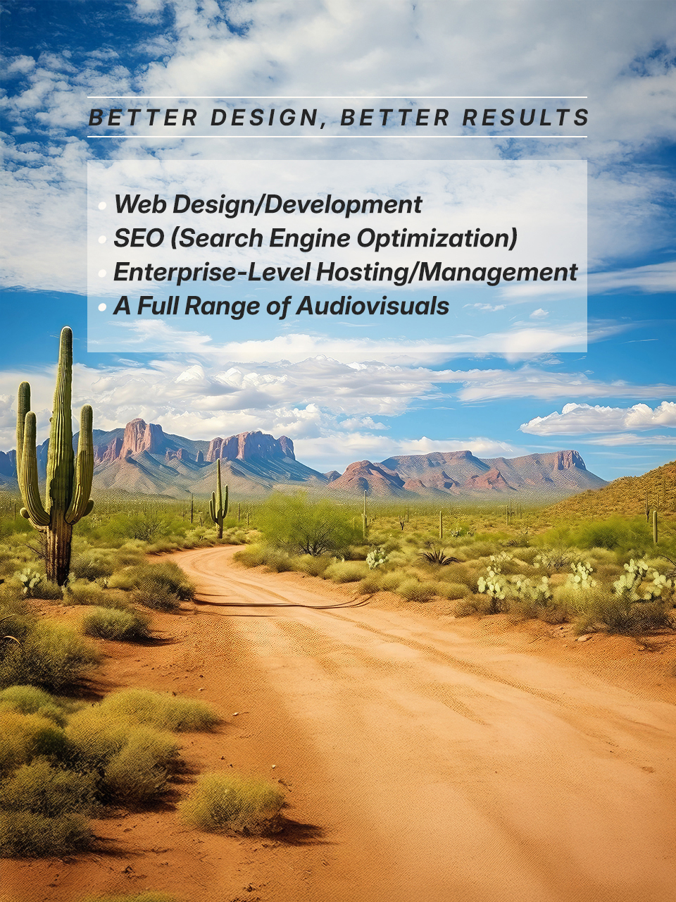 Professional Web Design in Canutillo, Texas