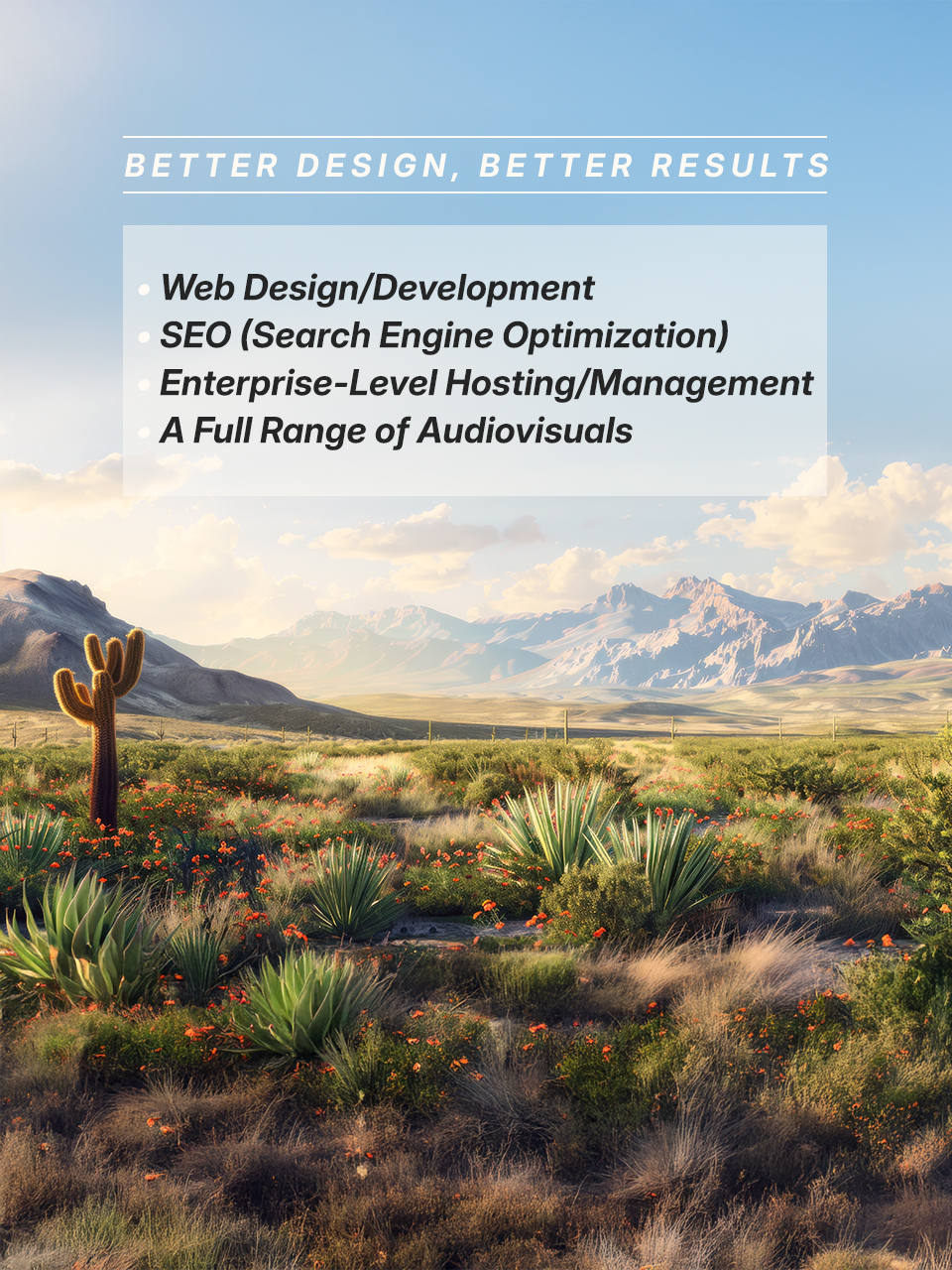 Professional Web Design in Burke, Texas