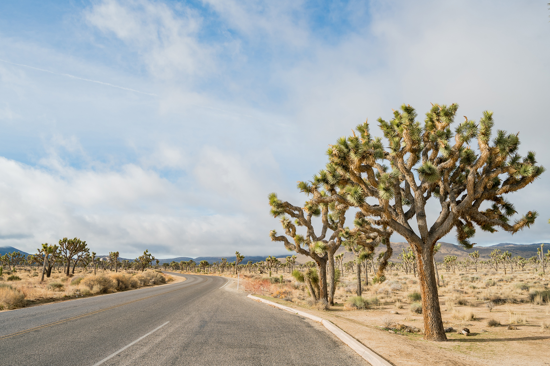 Responsive Web Design Brownsville TX