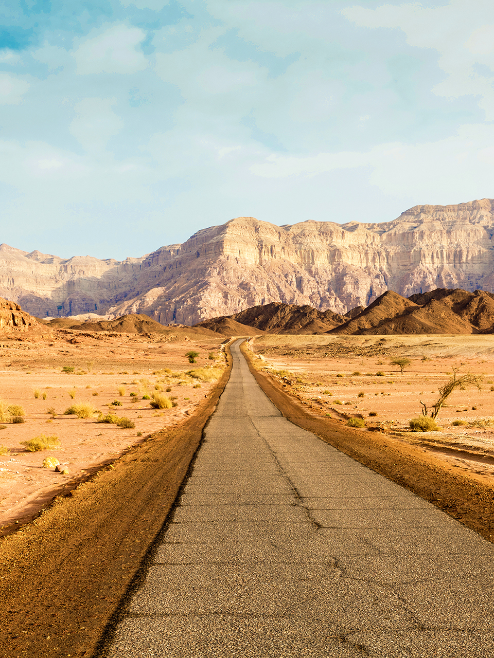 Responsive Web Design McAllen TX